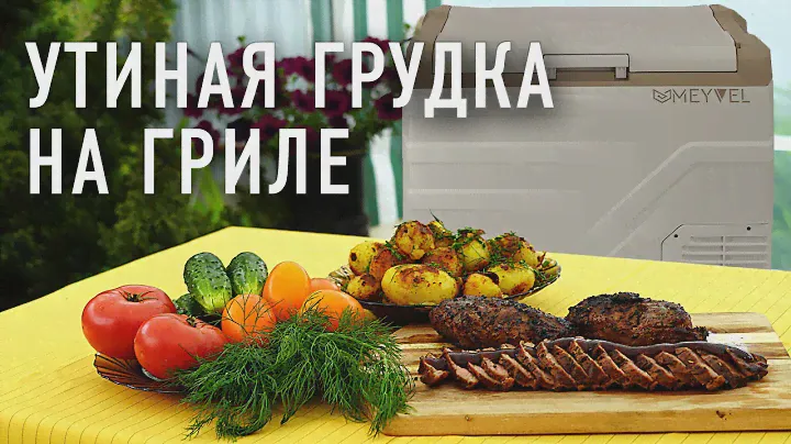 Утиная грудка на гриле. Купил автохолодильник Meyvel AF-F50 на Яндекс Маркете